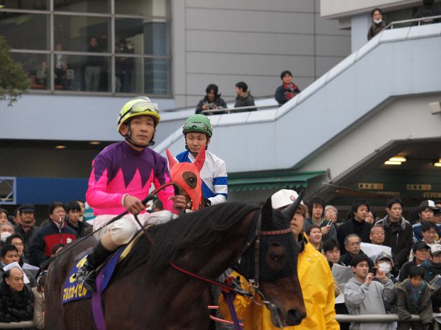 k_kinen36.jpg