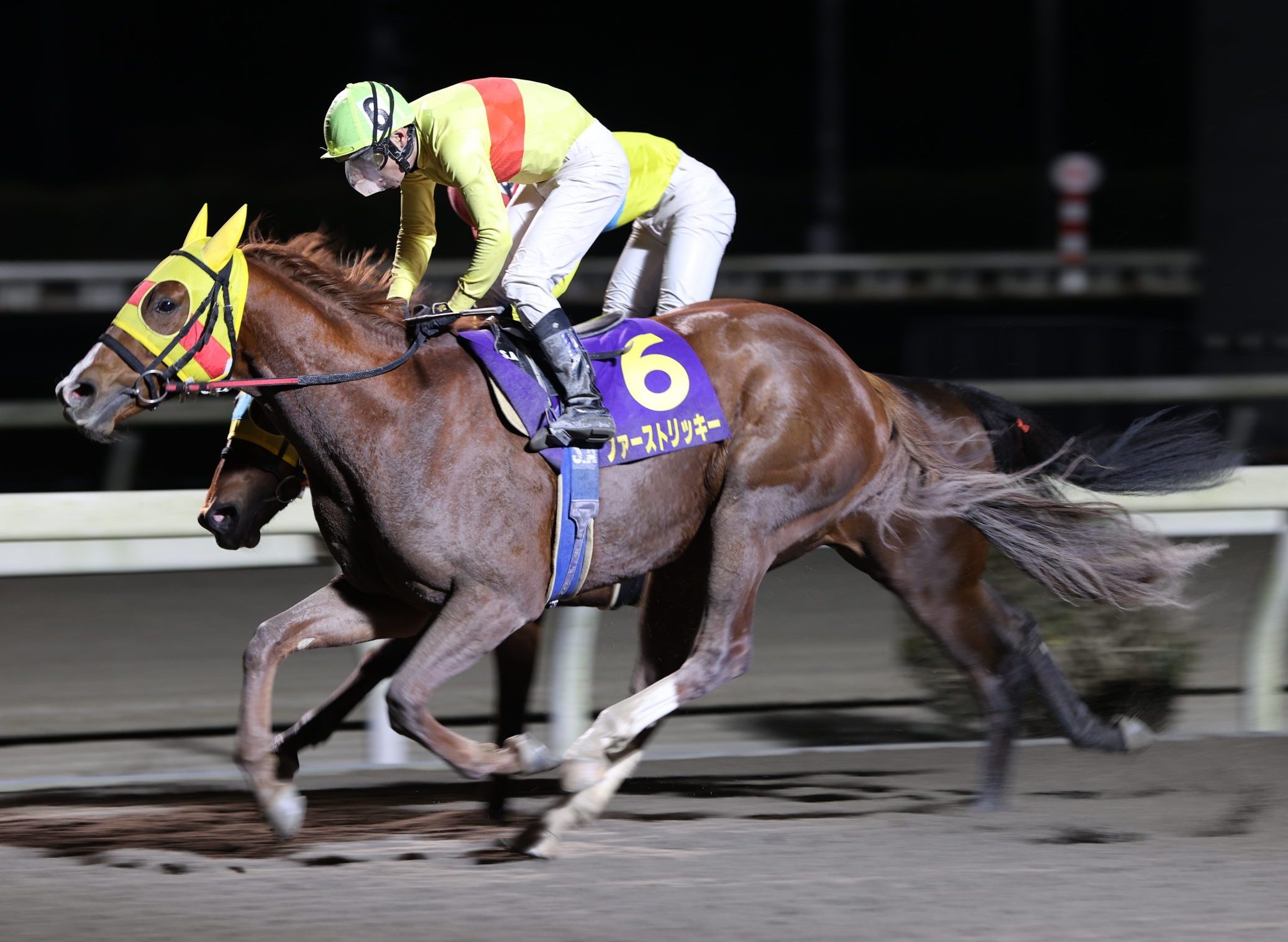 掃売り切りセール 地方競馬 NAR 高知競馬 実使用ゼッケン 重賞 金の鞍